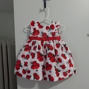 Gymboree rose baby dress
